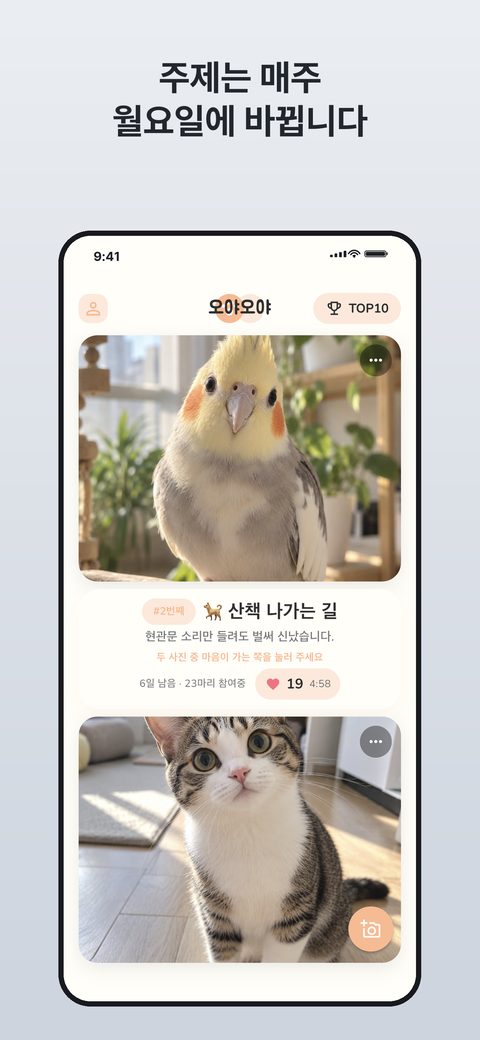 주제는 매주 월요일에 바뀝니다